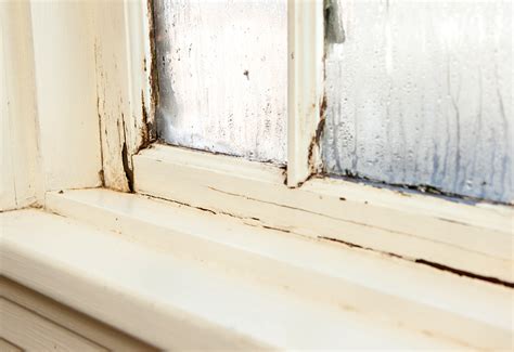 leaking window repair|My Home Window Is Leaking: How to Fix It